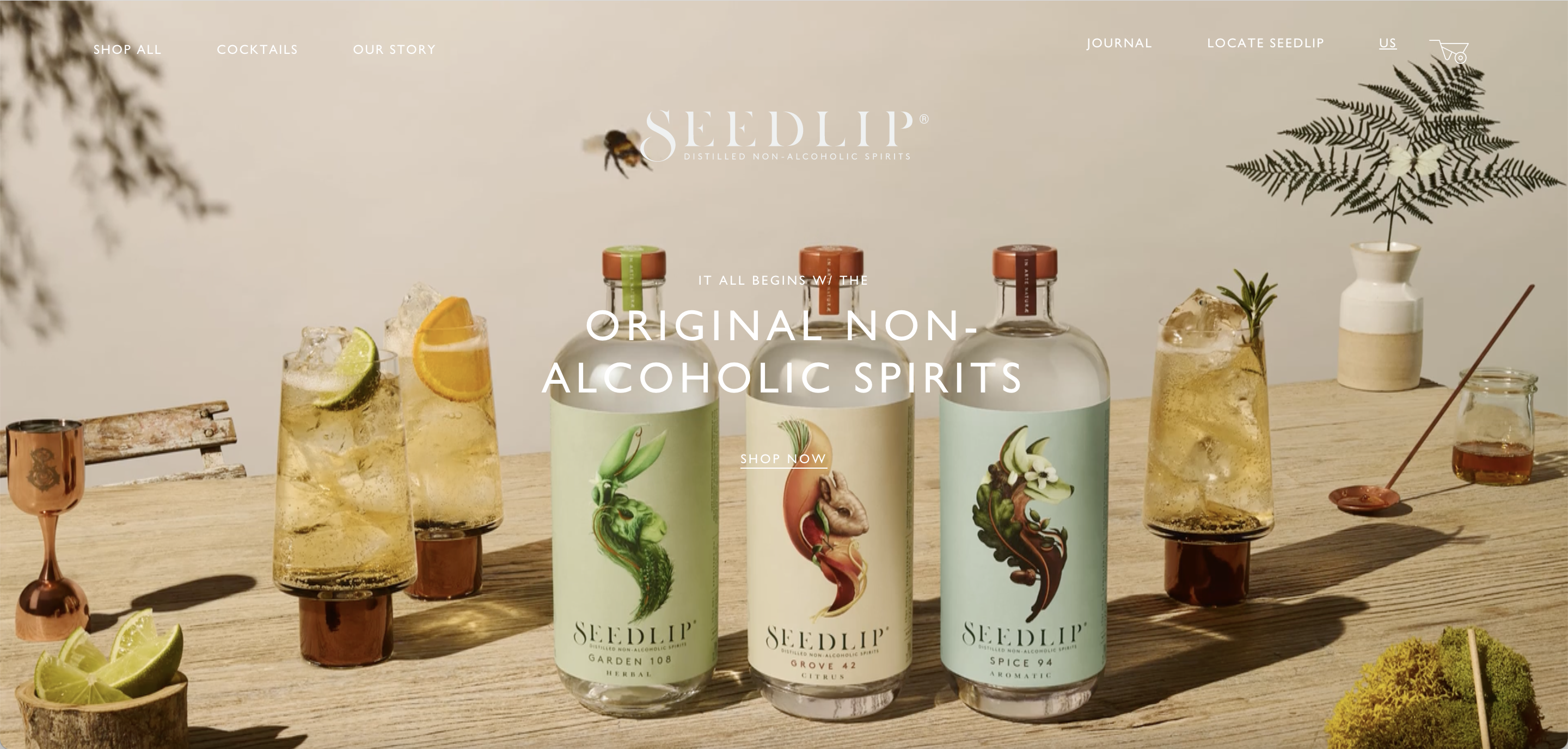 Screenshot from Seedlip's website